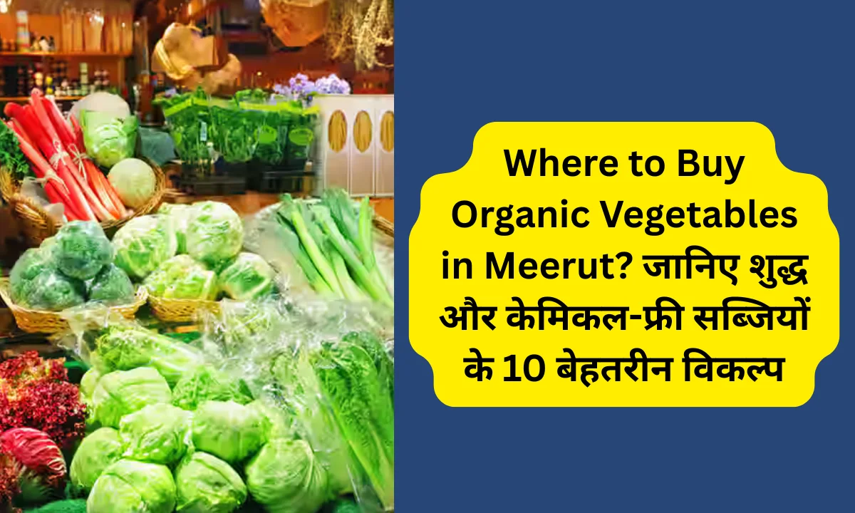 Where to Buy Organic Vegetables in Meerut